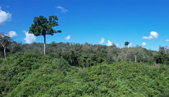 ​বান্দরবানে ৬ রাবার শ্রমিককে অপহরণ
