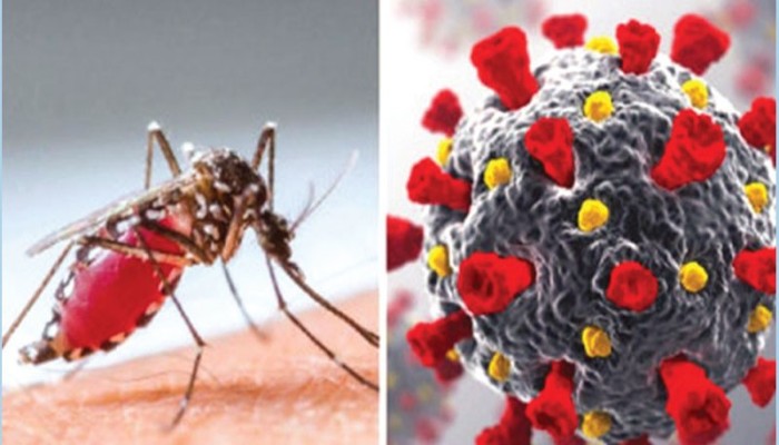 ​বর্ষায় ত্রিমুখী হুমকি