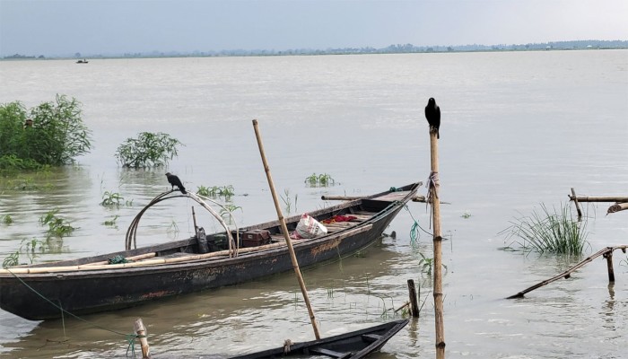 ​পদ্মায় বাড়ছে পানি