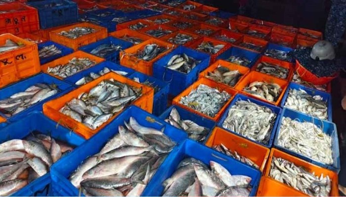 ​ভারতীয়দের ধরা মাছ বিক্রি করে দিলো বাংলাদেশ