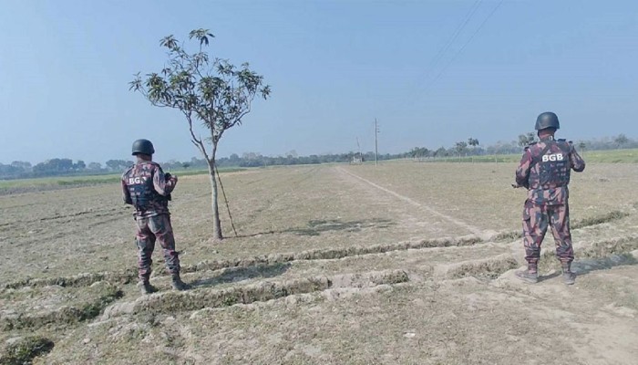 ​সীমান্তে চোরাকারবারি ধরতে গিয়ে বিজিবির ফাঁকা গুলি, ১০টি মহিষ জব্দ