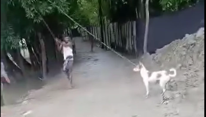 ​কুকুরকে গাছে ঝুলিয়ে পিটিয়ে হত্যা