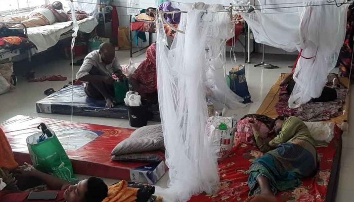 বরগুনায় ডেঙ্গুতে নতুন করে আক্রান্ত আরও ৫৩