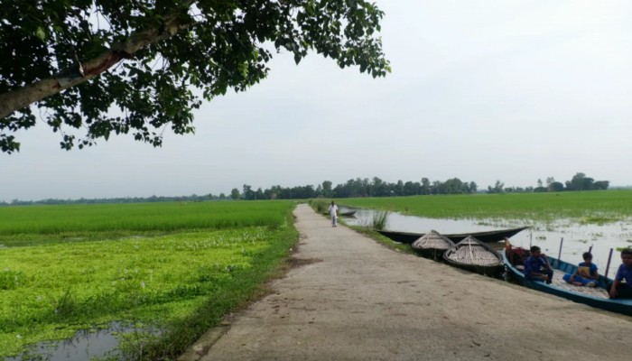 ​পর্যটক হারাচ্ছে চলনবিল