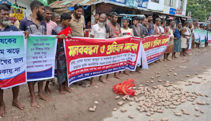 ​আলুর ন্যায্য মূল্যের দাবিতে সড়কে আলু ফেলে কৃষকদের মানববন্ধন