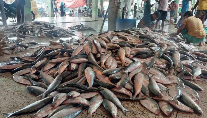 কোটি কোটি টাকা রাজস্ব ফাঁকি