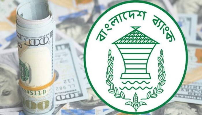 ঘুরে দাঁড়িয়েছে রিজার্ভ, কমেছে মূল্যস্ফীতি