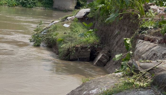 ​ মধুমতির বাঁধে তীব্র ভাঙন, আতঙ্কে জনপদ