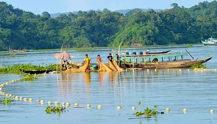 ​কাপ্তাই হ্রদে মাছের বাম্পার আহরণ, রাজস্ব আয়ে রেকর্ড