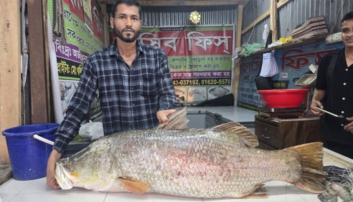 ২২ কেজির কোরাল ৩৪ হাজারে বিক্রি