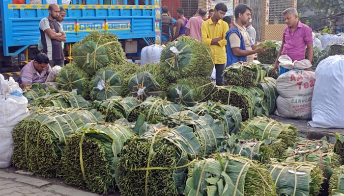 ​বিলুপ্তির পথে শতবর্ষী পান বাজার