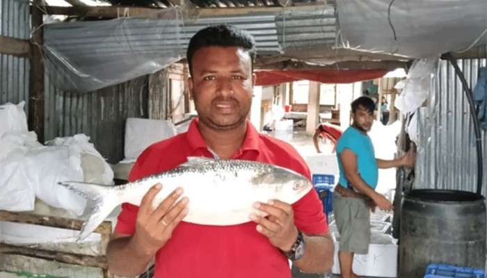 ​এক ইলিশের দাম ৫ হাজার ৭০০ টাকা!