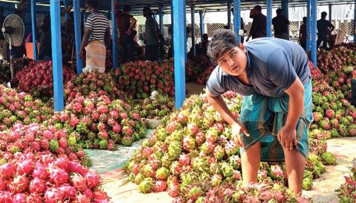 ড্রাগন নগরী গৌরিনাথপুর: দিনে বিক্রি আড়াই কোটি