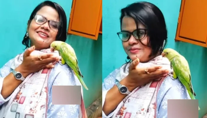 ​টিয়া পাখি নিয়ে ভিডিও করে বিপাকে শিক্ষিকা