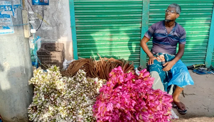 হারিয়ে যাচ্ছে জাতীয় ফুল শাপলা