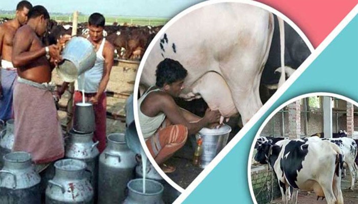 ​ডেইরি উন্নয়ন বোর্ড গঠন, সোমবার থেকে কার্যকর