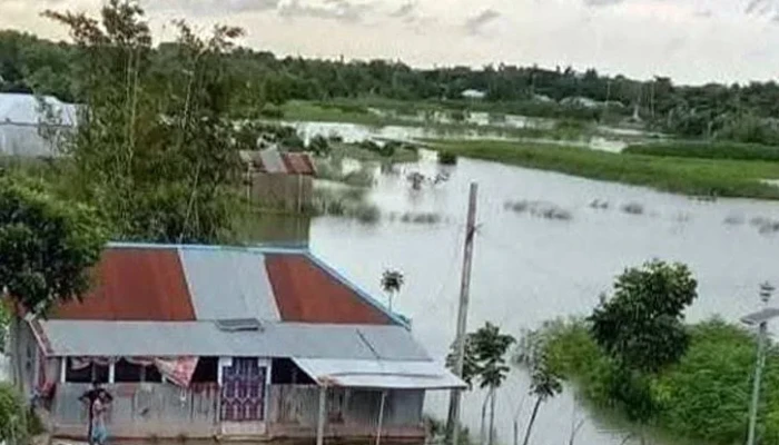 কুষ্টিয়ায় বন্যায় ১ হাজার ২৯৮ হেক্টর জমির ফসল নষ্ট