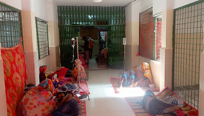 ​চাঁপাইনবাবগঞ্জে ৮ মাসে ডেঙ্গু আক্রান্ত ৩ হাজার