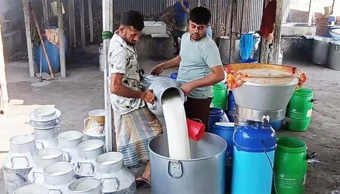 গঠিত হলো ডেইরি বোর্ড, সহায়তা পাবেন খামারিরা