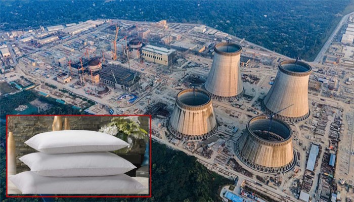 'বালিশ-কাণ্ডে' চাকরি হারালেন সেই প্রকৌশলী!