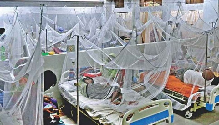 ভয় ধরাচ্ছে ডেঙ্গু, এক সপ্তাহে ১২ জনের মৃত্যু