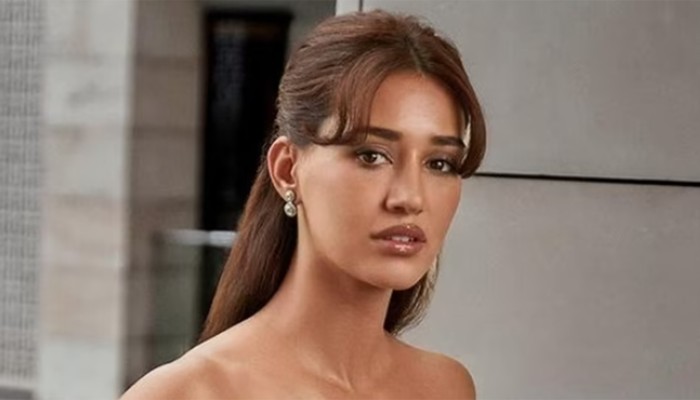 ​মধ্যরাতে দিশা পাটানির বাড়িতে হামলা, গুলিবর্ষণ!