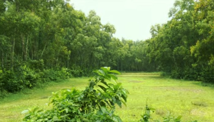 আকাশমনির বিষে জর্জরিত মাটিরমনি!