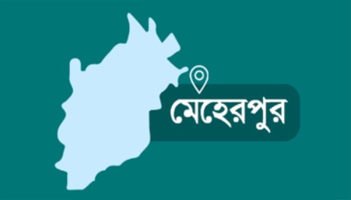 ​মেহেরপুরের সীমান্ত দিয়ে ১৮ বাংলাদেশিকে ফেরত দিল বিএসএফ