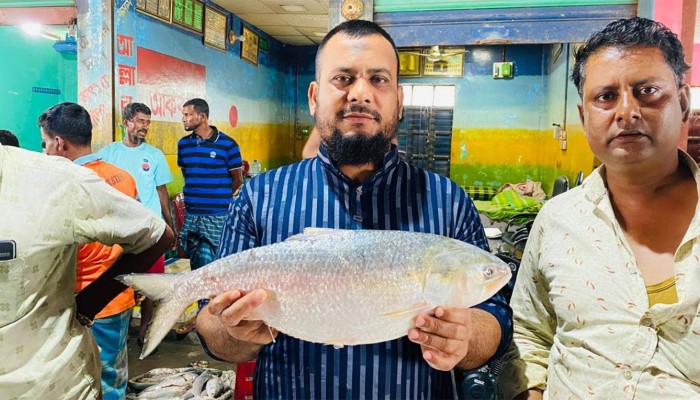 ​৮০টি ইলিশ বিক্রি হলো দুই লাখ ১৩ হাজার টাকায়