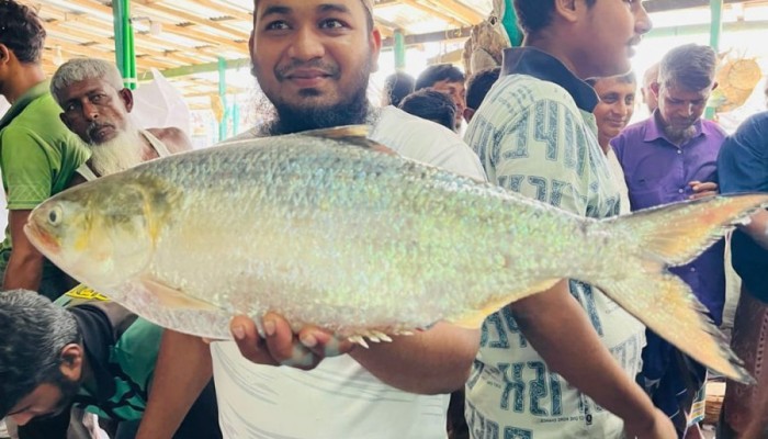 ​এক ইলিশের দাম ১৪ হাজার টাকা