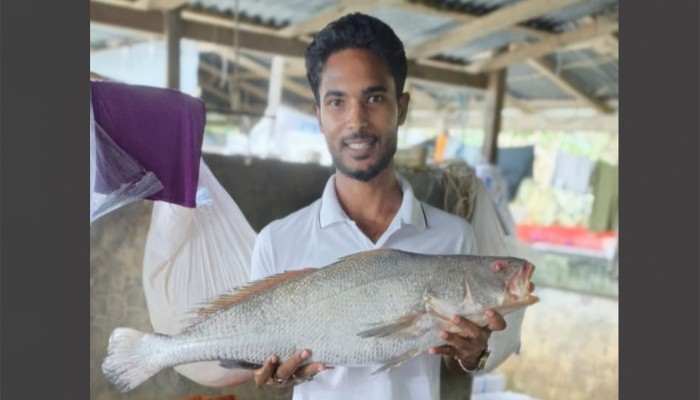 বঙ্গোপসাগরে ধরা পড়ল ‘ব্ল্যাক ডায়মন্ড’, ৮০ হাজারে বিক্রি