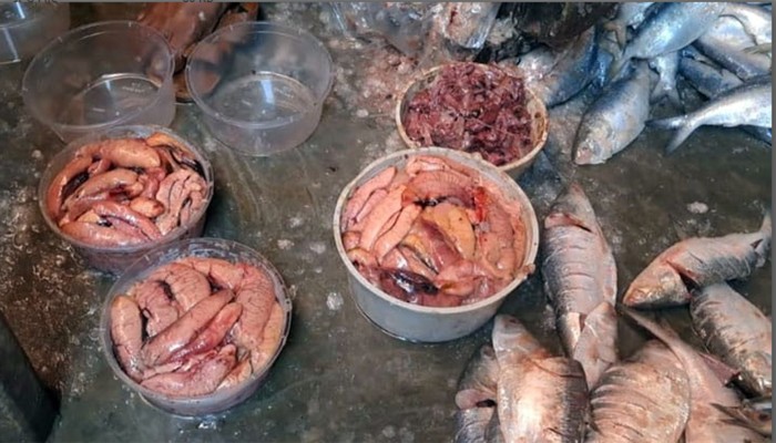 চাঁদপুরে ইলিশের ডিম বিক্রি শুরু, ২৪০০ থেকে ৩৬০০ টাকা কেজি