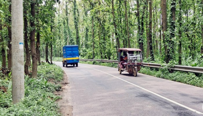 ​ সড়কের বাঁক যেন মরণফাঁদ