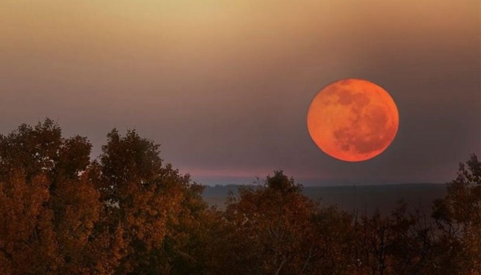 ​৭ অক্টোবর বছরের প্রথম সুপারমুন, দেখা যাবে বাংলাদেশেও