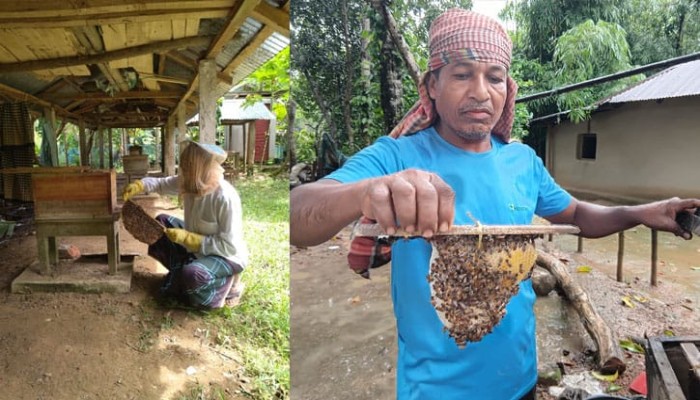 ​মধু চাষে নিরব বিপ্লব