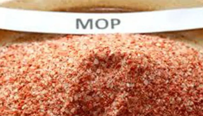 ​এক লাখ ৩০ হাজার টন সার কিনবে সরকার