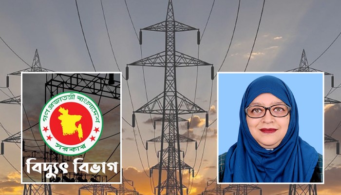 সংযোগ নীতিমালায় বৈষম্য নিরসনে বৈঠক ডেকেছে বিদ্যুৎ বিভাগ