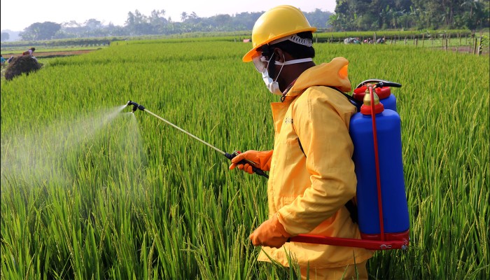 ​সরকারের যুগান্তকারী সিদ্ধান্ত, দেশেই উৎপাদন হবে বালাইনাশক