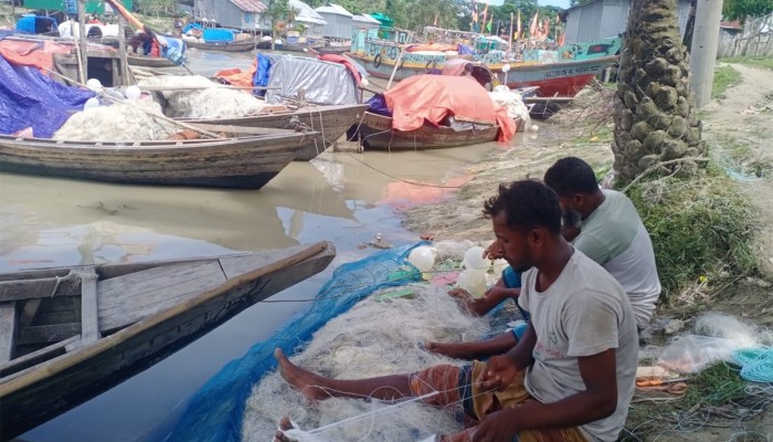 ​ইলিশের আশায় লোকসানের বোঝা নিয়ে ফের সাগর-নদীতে ছুটছেন কলাপাড়ার জেলেরা