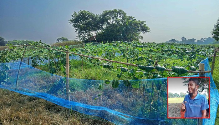 কান্না থামছে না কৃষক ইব্রাহিমের