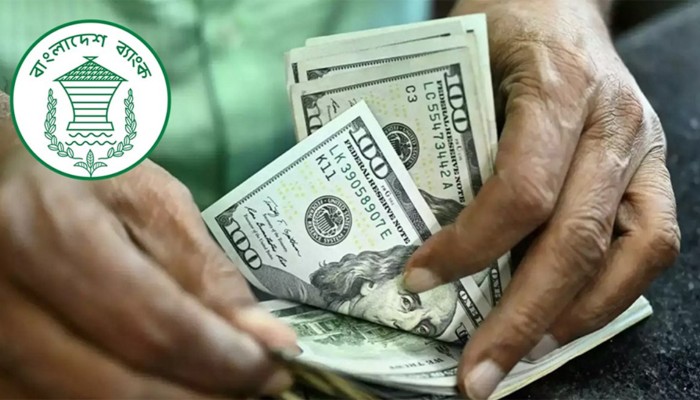 ​২৫ দিনে প্রবাসী আয় ছাড়াল দুই বিলিয়ন ডলার