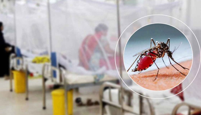 আবারো ডেঙ্গুর প্রকোপ, একদিনে ৬ জনের মৃত্যু
