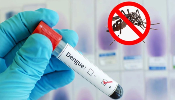 ​ডেঙ্গুতে চারজনের মৃত্যু