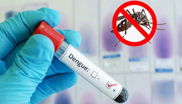 ​ডেঙ্গুতে আরও ৫ মৃত্যু