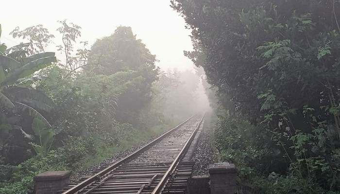 ​কুয়াশা দিচ্ছে শীতের বার্তা