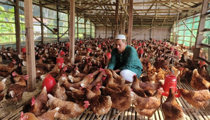 করোনায় চাকরি হারিয়ে এখন সফল উদ্যোক্তা শাহীন