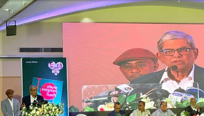 ব্যর্থ রাষ্ট্র না চাইলে গণতন্ত্র প্রতিষ্ঠা করতে হবে: মির্জা ফখরুল