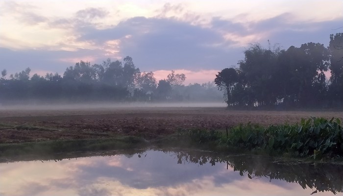 ​হিমেল বাতাসে বাড়ছে শীতের তীব্রতা
