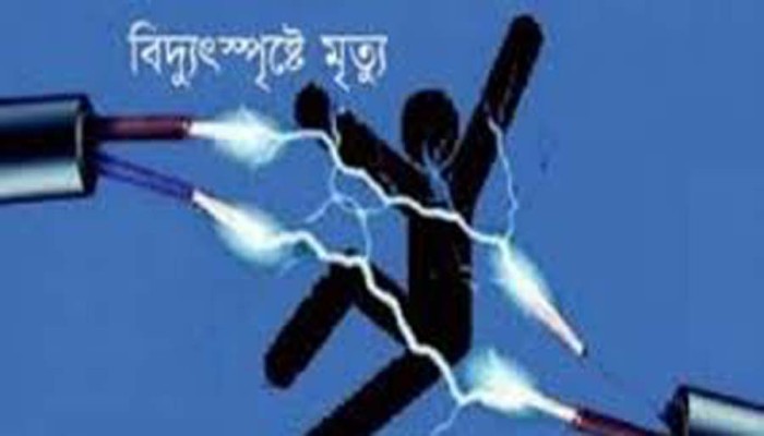 ​কিশোরগঞ্জে বিদ্যুৎস্পৃষ্টে প্রাণ গেল ২ ভাইয়ের