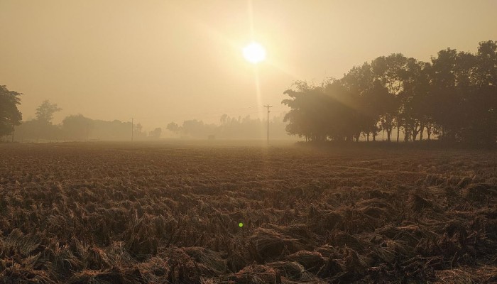​পঞ্চগড়ে বাড়ছে শীতের তীব্রতা, তাপমাত্রা নামল ১২ ডিগ্রিতে